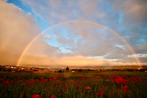 Rainbow Bridge Remembrance Day