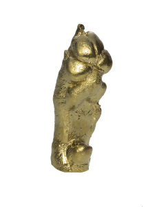 Cast Paw
