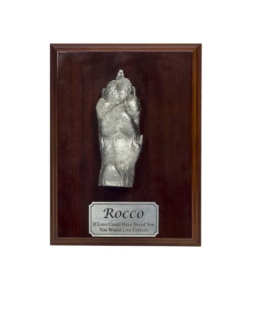 Cast Paw on Display Base